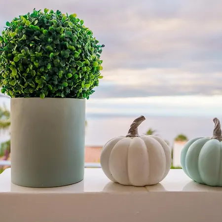 Iris 8 House * Puntillo Del Sol